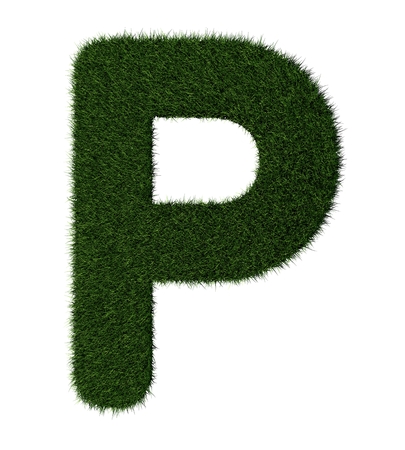 Letter P made with blades of grassの写真素材