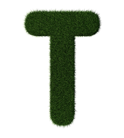 Letter T made with blades of grassの写真素材