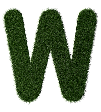 Letter W made with blades of grassの写真素材