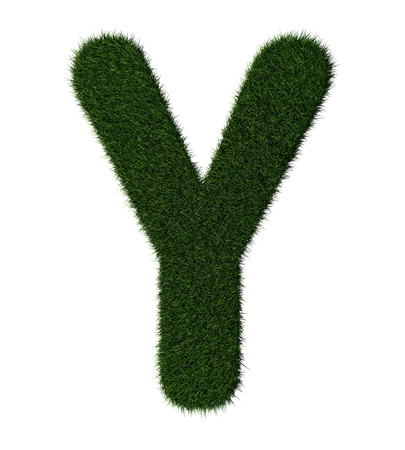 Letter Y made with blades of grassの写真素材