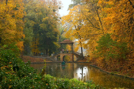 Autumn landscape in the parkの写真素材