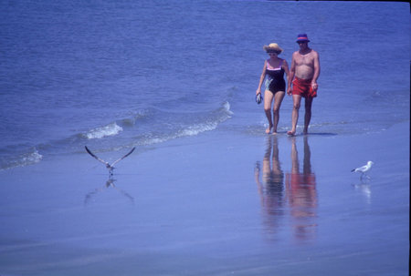 Couple walking along the beachのeditorial素材