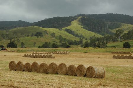 Hay roll,s QLD, Australia