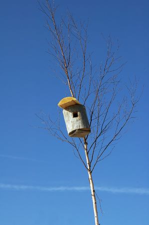birdshouse on a birchtree with blue sky in the background