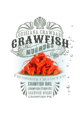 NOLA Collection Crawfishの写真素材