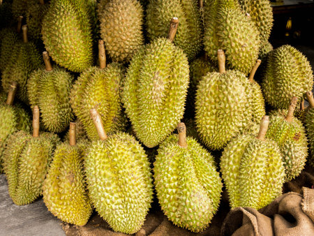 King of fruit Durian Thai fruit at market Thailandの写真素材