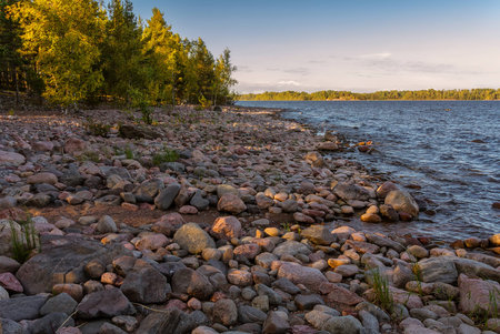 Northern beach with stones Russia Ladoga lakeの写真素材