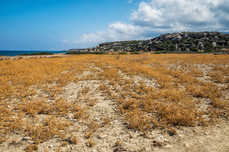 Desert pasture mediterranean sea dry grass blue skyの写真素材