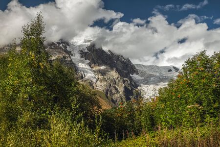 Sunny landscape with mountain Tetnuldi and its glacier view through forest trees Svaneti Georgiaの写真素材