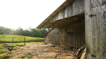 Ranch and fieldの写真素材