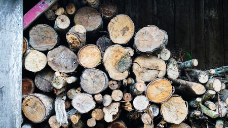 wood trunksの写真素材