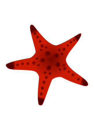 Red Sea Starのイラスト素材