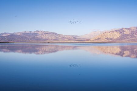 the saline lake is the other side of the dry Death Valley National Park. Saline valley, a group of birds flying over the lakeの写真素材