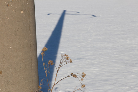 Burr and power line support on the background of white snowの写真素材