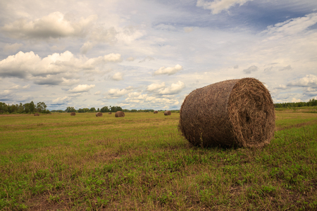 the bale of hay lying on the field against the skyの写真素材