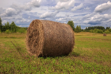 the bale of hay lying on the field against the skyの写真素材