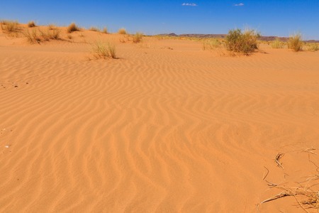 waves on the sand in the Sahara desert, Moroccoの写真素材