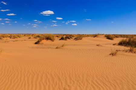 waves on the sand in the Sahara desert, Moroccoの写真素材