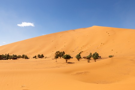oasis in the Sahara desert, Erg Shebbi dunes, Moroccoの写真素材