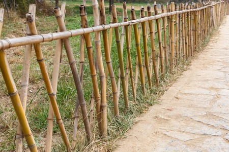 Bamboo fence along a footpath in a park, Chinaの写真素材