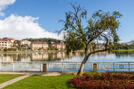 Sapa, Vietnam - November 20, 2018: Green tree on the background of the lake and the city. Beautiful landscape.のeditorial素材