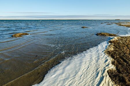 Lake Kamyslybas or Kamyshlybash, large saltwater lake in the Kyzylorda Region, Kazakhstan. foam and seaweed on the shoreの写真素材