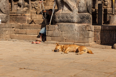 Bhaktapur, Nepal - November 15, 2016: A red dog sleeps near the entrance to the Hindu Dattatraya Temple. A man with crutches sits on the steps of the temple.のeditorial素材
