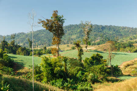 Beautiful mountain landscape on a sunny day. Sainyabuli Province, Laos.の写真素材
