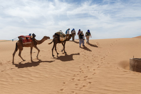 Errachidia Province, Morocco - October 16, 2015: group of tourists and camel caravan going through the sand dunes in the Sahara Desertのeditorial素材