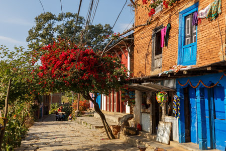 Bandipur, Nepal - November 24, 2016: Narrow beautiful street of the old town of Bandipur. Blooming tree and facades of houses.のeditorial素材