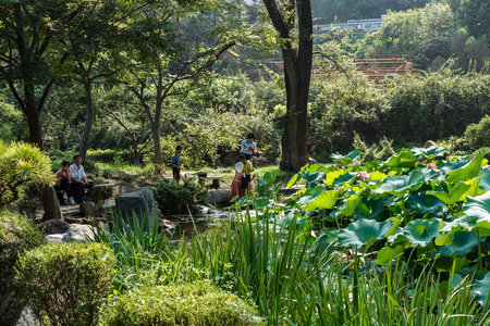 Pyongyang, North Korea - July 27, 2014: Moranbong Park. North Korean people resting in a park near the lotus pond.のeditorial素材