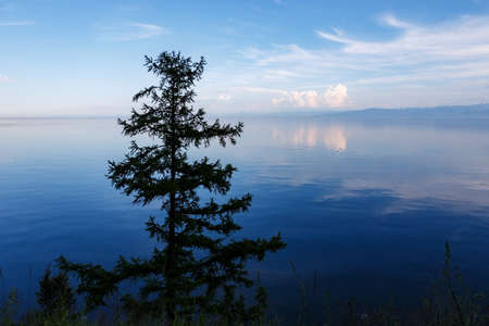Lake Baikal. Lonely tree on the background of the lake. Evening landscape. Russiaの写真素材