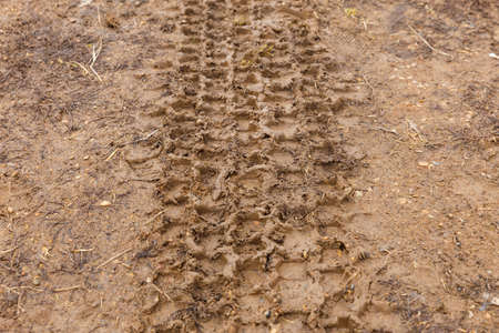 Car wheel track in the mud, off road track