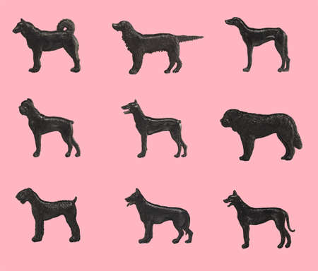 Silhouettes of purebred dogs on a pink background, isolatedの写真素材