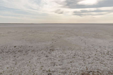 A salt dried lake in the steppe of Kazakhstan. Drought and climate change.