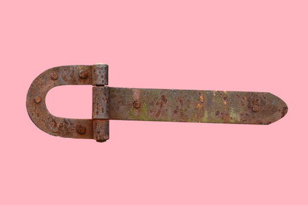 rusty metal door hinge. Door hinge isolated on pink backgroundの写真素材