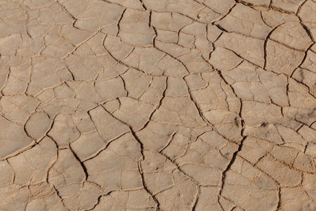 cracked earth texture. Mosaic pattern of sunny dried earth soil. soil background.の写真素材