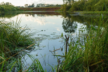 Fishing place on a small and quiet river. River and fisherman's place in summer.の写真素材
