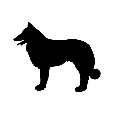 Collie. Black silhouette of a dog on a white background. vector illustrationのイラスト素材