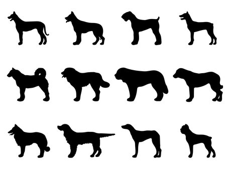dog silhouette set. Black silhouettes of a dogs on a white background. vector illustrationのイラスト素材
