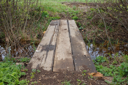 Wooden bridge over a stream in the park. view from above.の写真素材
