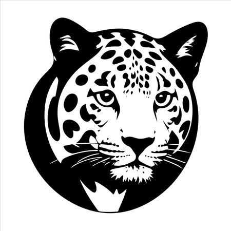 leopard head black and white vector illustration isolated on a white backgroundのイラスト素材