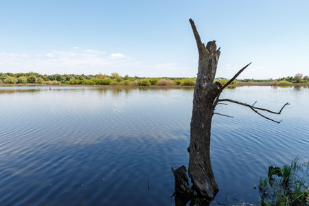 Serenity of Ural River in Kazakhstan is captured showcasing still waters and lush greenery along the banks under a clear sky.の写真素材