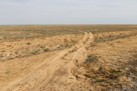 A winding dirt path cuts through an arid steppe landscape characterized by dry grasses in Kazakhstan under a clear sky.の写真素材
