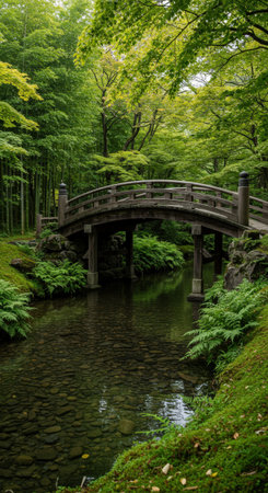 A beautiful vertical landscape of a tranquil Japanese zen garden. Features a traditional wooden arched bridge over a clear stream with moss and ferns.の素材