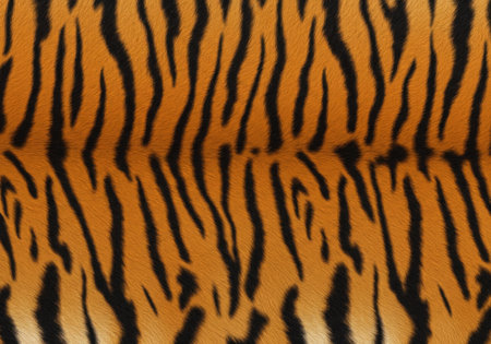 A high-resolution, full-frame close-up displays the distinctive striped pattern and rich colors of Bengal tiger fur, perfect for backgrounds.の素材
