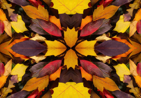 A symmetrical kaleidoscope pattern created from a vibrant display of swirling autumn leaves in shades of red, orange, yellow, and brown.の素材