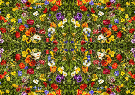 A colorful array of wildflowers forms a mesmerizing kaleidoscope pattern, showing the beauty of nature in a blooming field.の素材