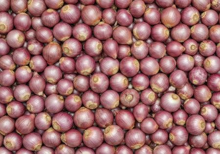 A vibrant array of fresh shallots fills the market space, showing their unique purple skins and round shapes.の素材