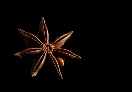 A star anise spice pod with a seed in a macro closeup. The aromatic ingredient is isolated on a dark, black background.の素材